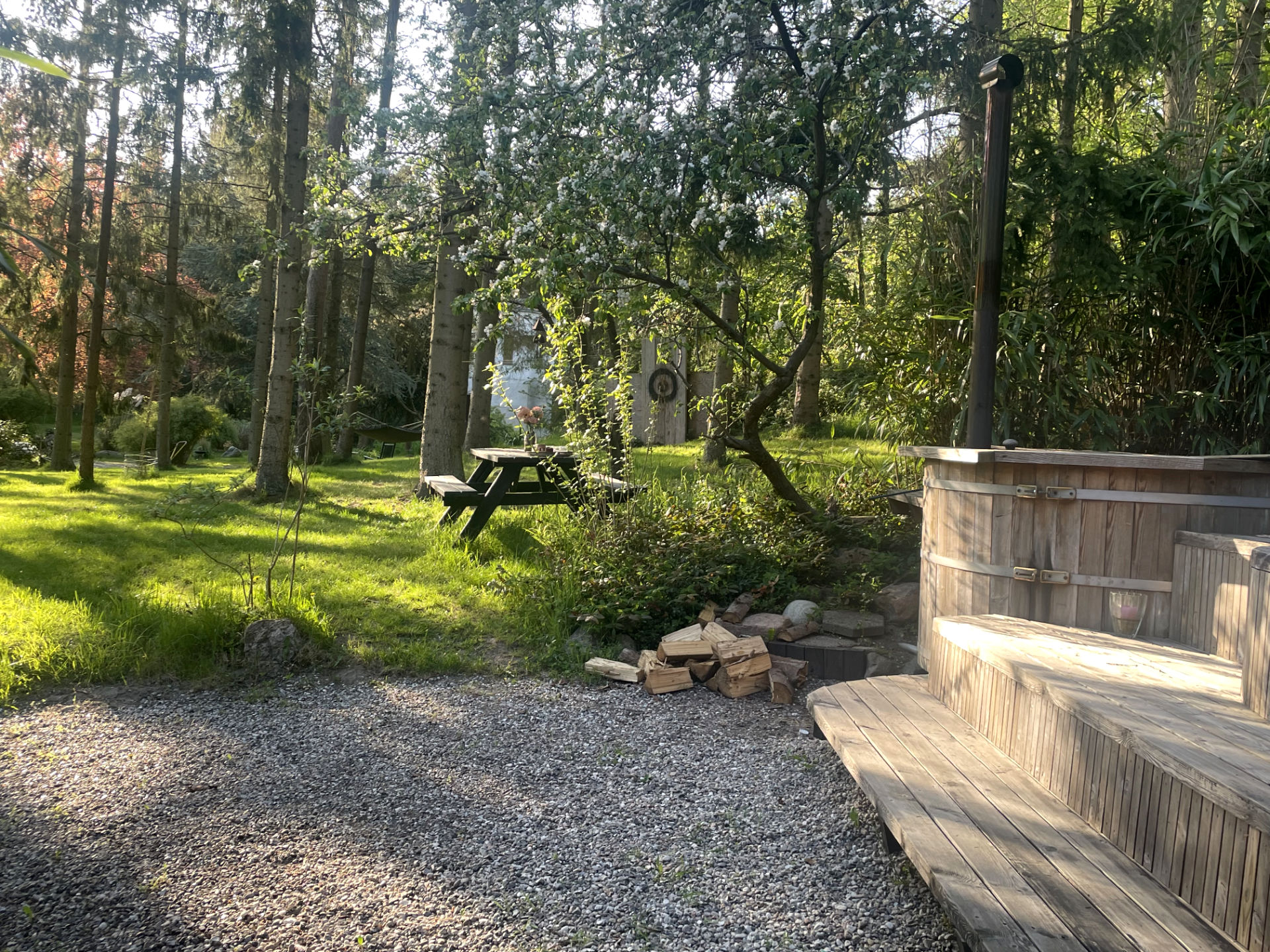 Bænk i Aserbos skov